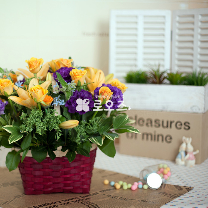 상세이미지