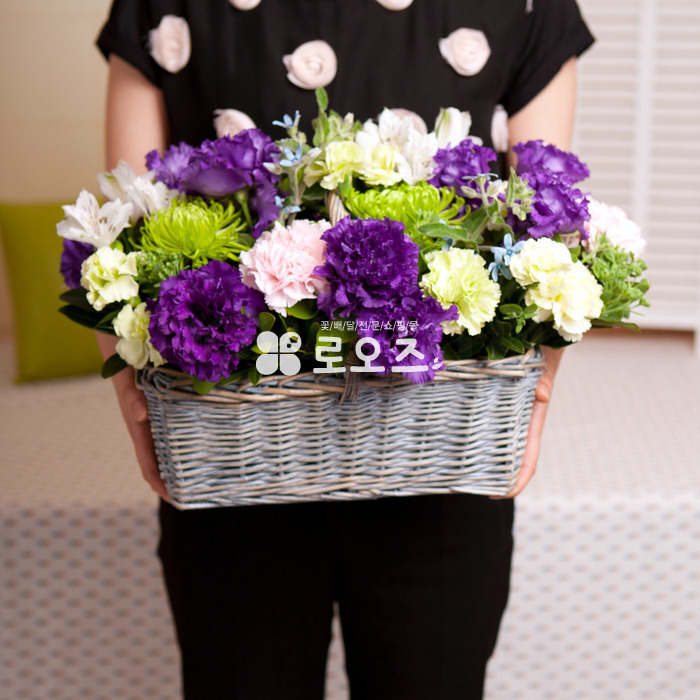 상세이미지