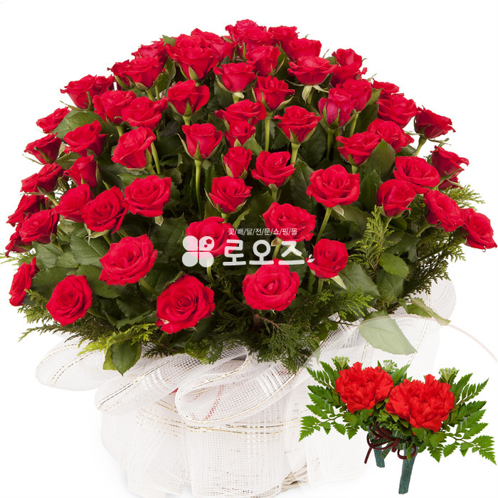 상세이미지