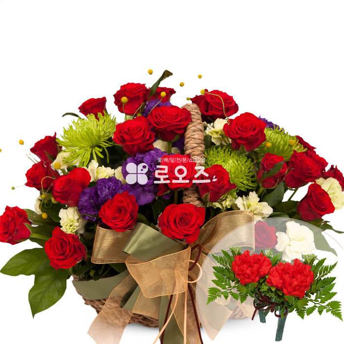 상세이미지