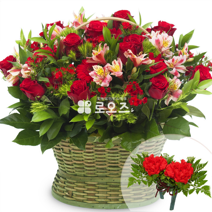 상세이미지