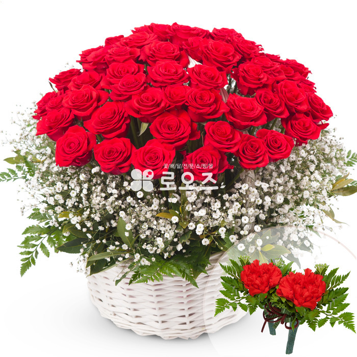 상세이미지
