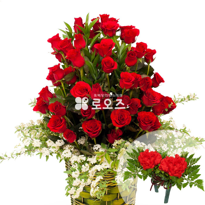 상세이미지