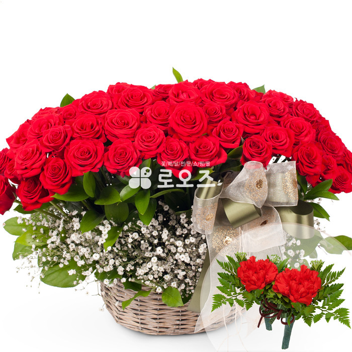 상세이미지