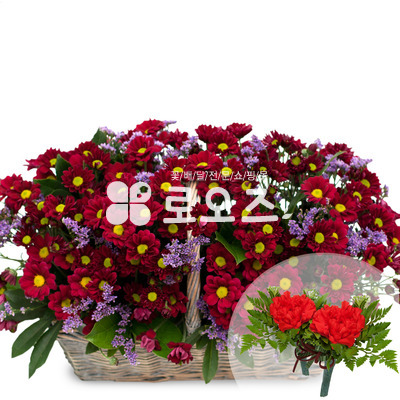 소국바구니1