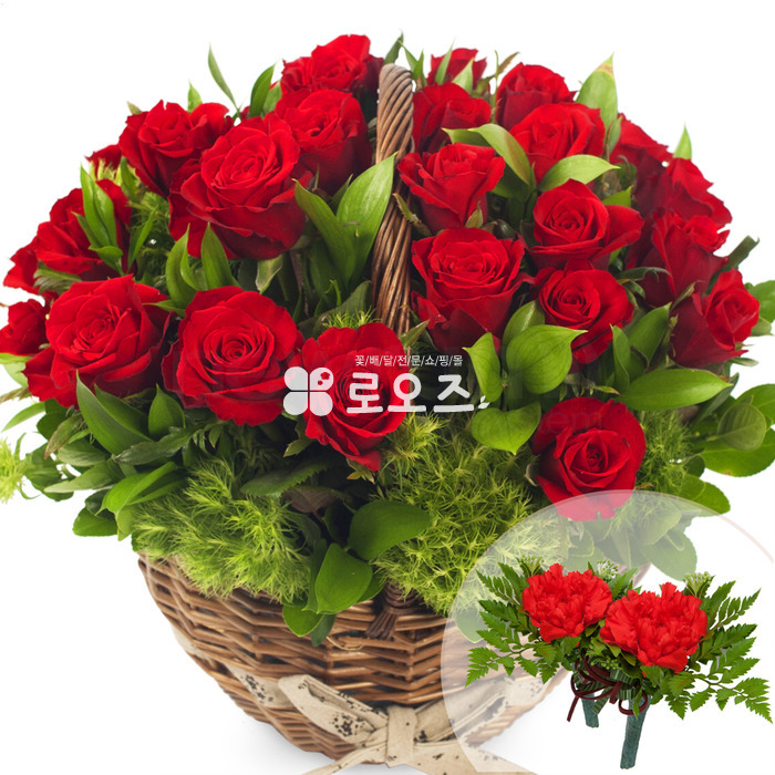 상세이미지