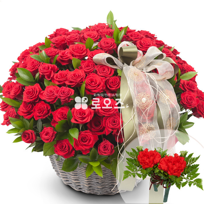 상세이미지