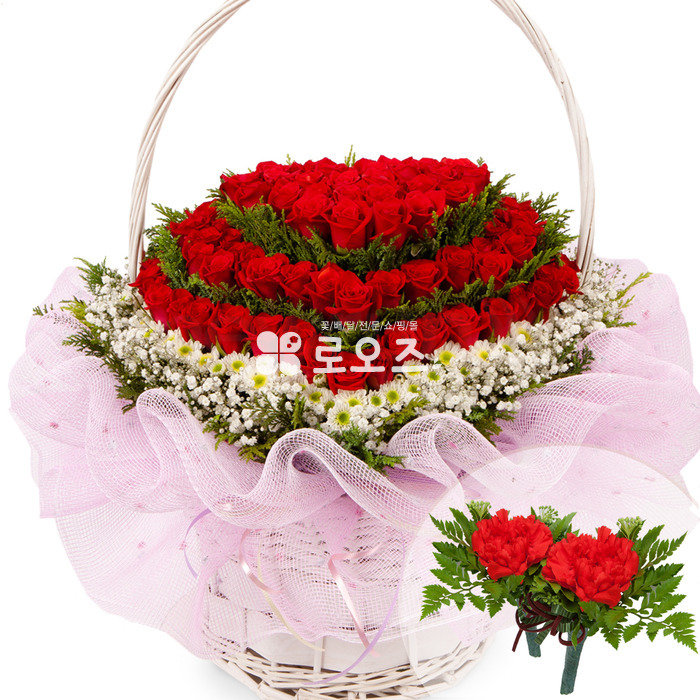 상세이미지