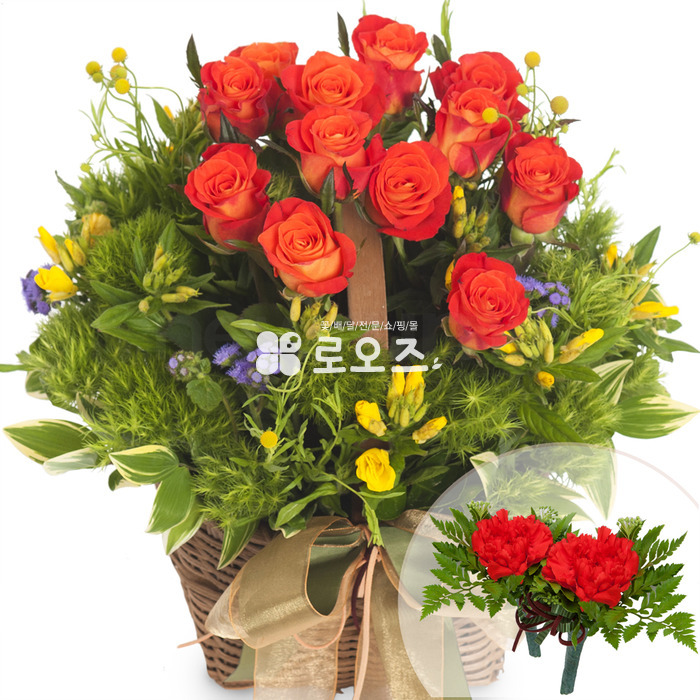 상세이미지
