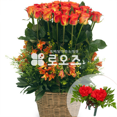 주황색장미바구니