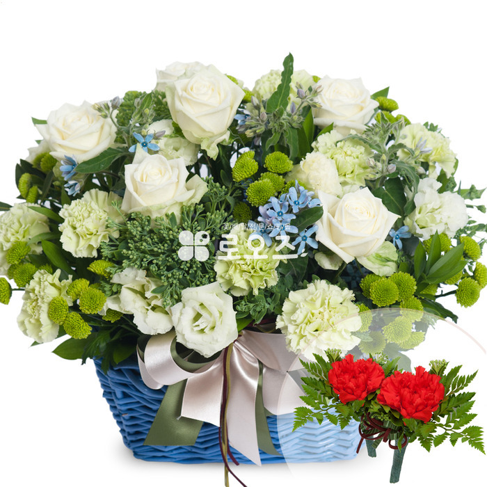 상세이미지