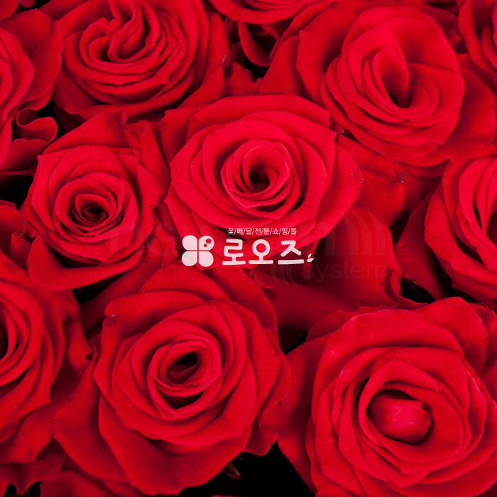 상세이미지