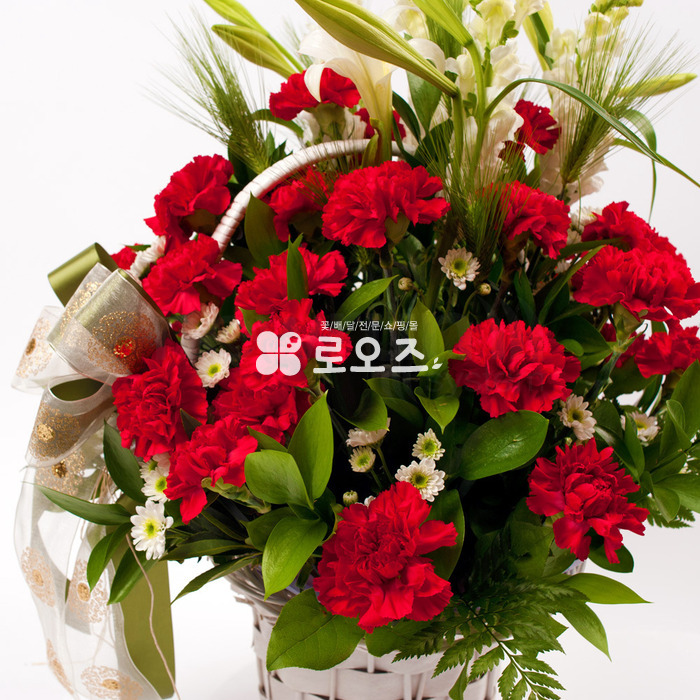 상세이미지