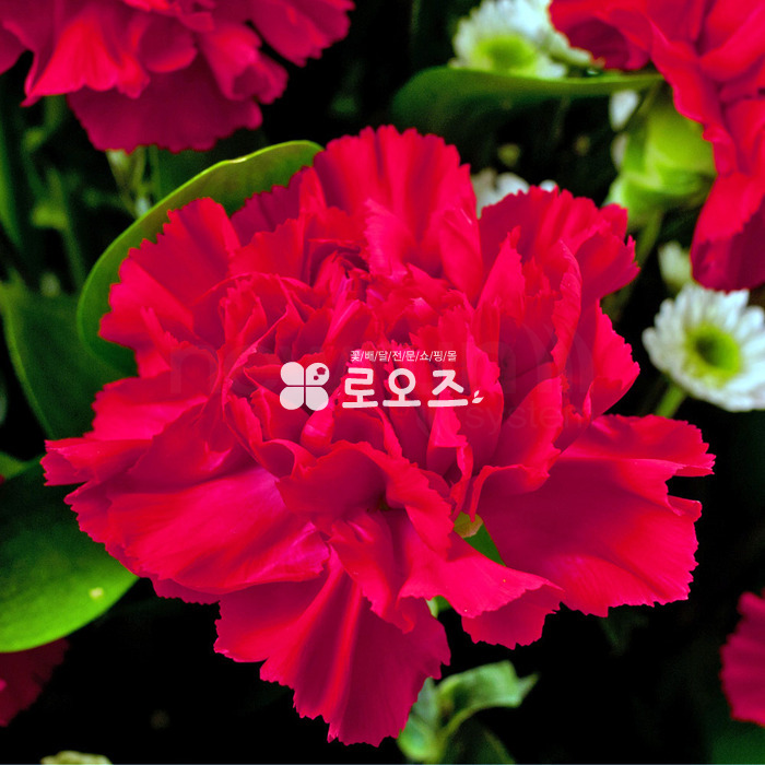 상세이미지