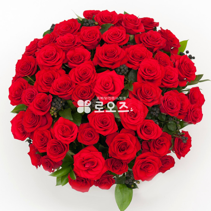 상세이미지