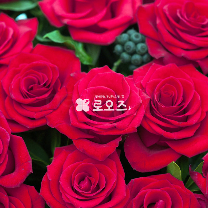 상세이미지