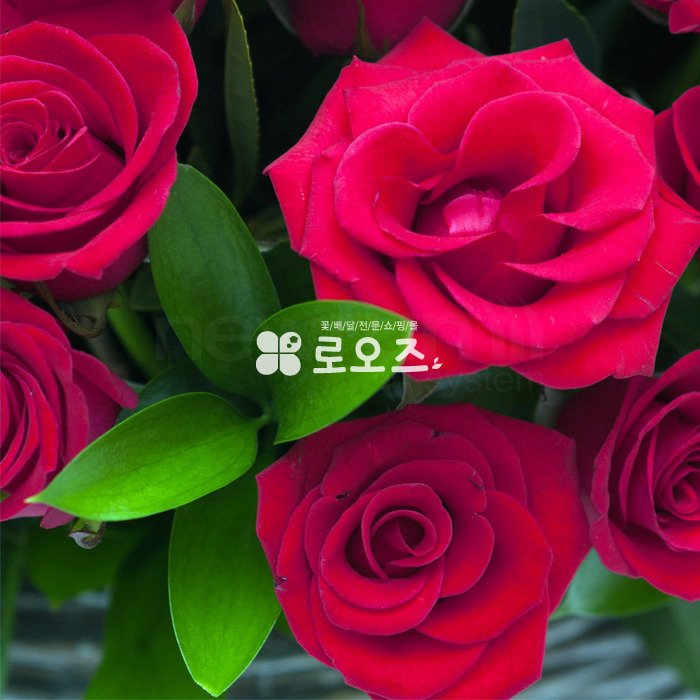 상세이미지