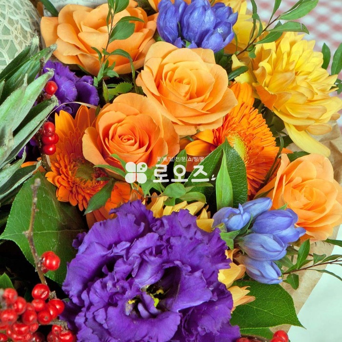 상세이미지