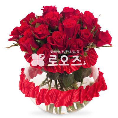 유리화기_레드
