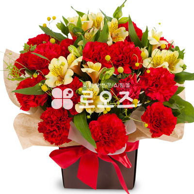 레드톤종이박스