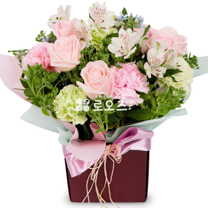 상세이미지