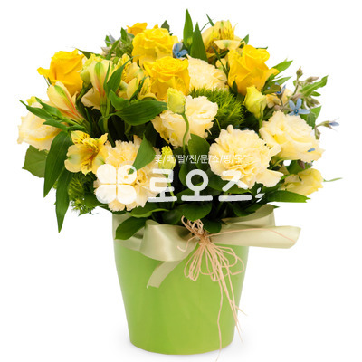 화병디자인_노랑