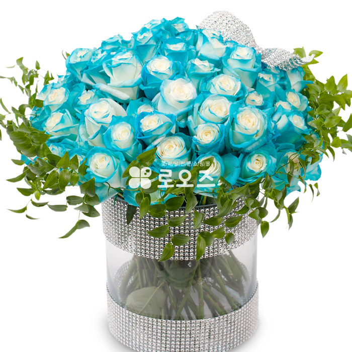 상세이미지