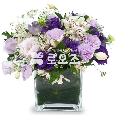 유리화기혼합디자인2