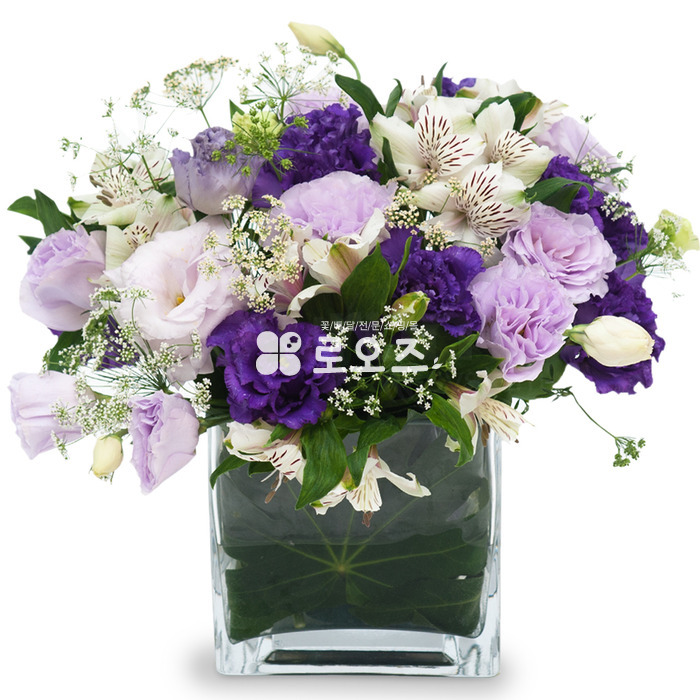 상세이미지
