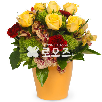 화기꽃이