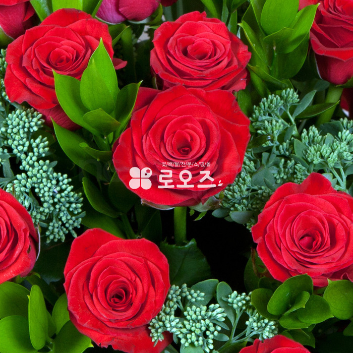 상세이미지