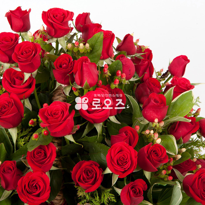 상세이미지