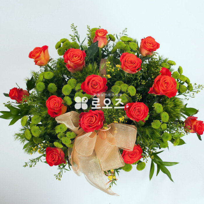 상세이미지