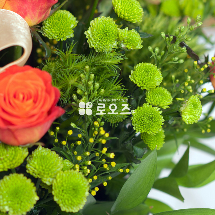상세이미지