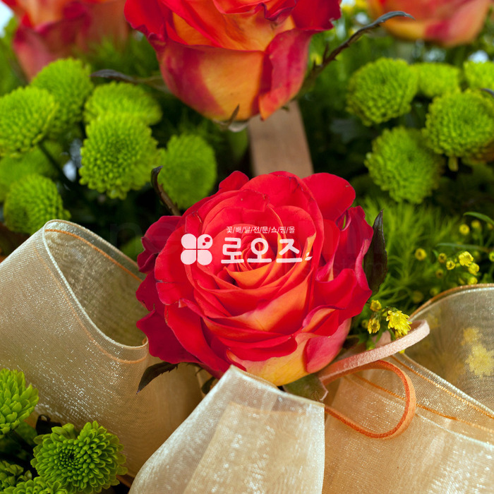 상세이미지