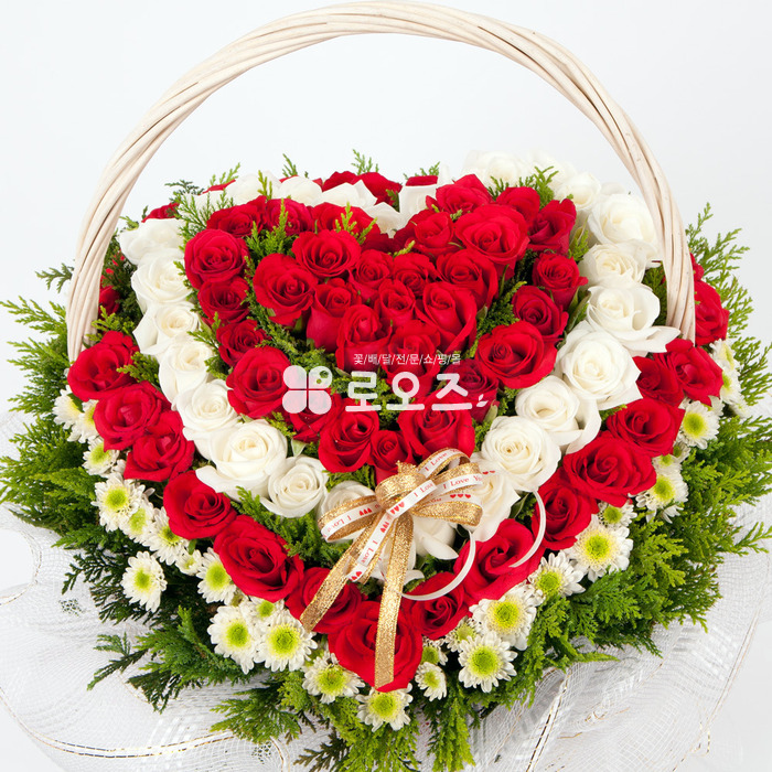 상세이미지