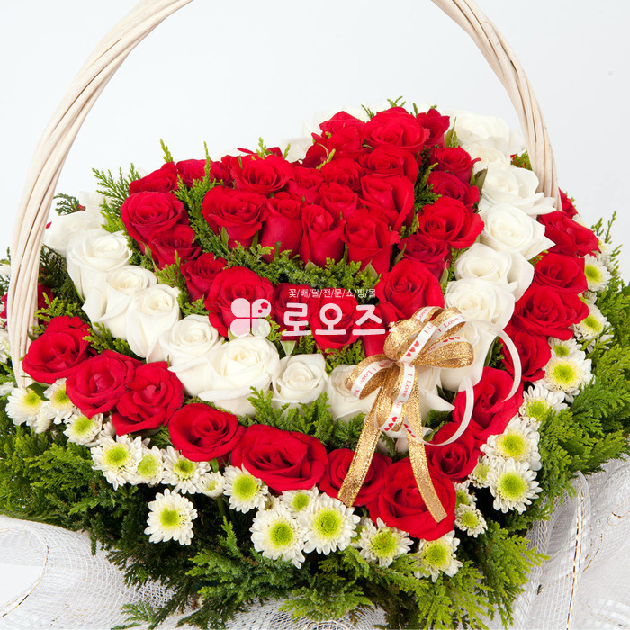 상세이미지