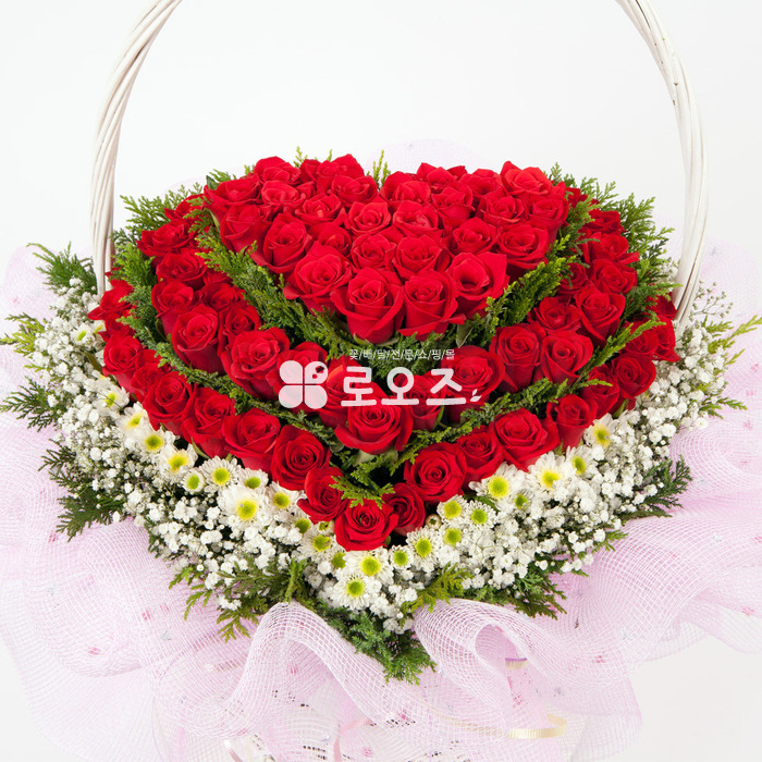 상세이미지