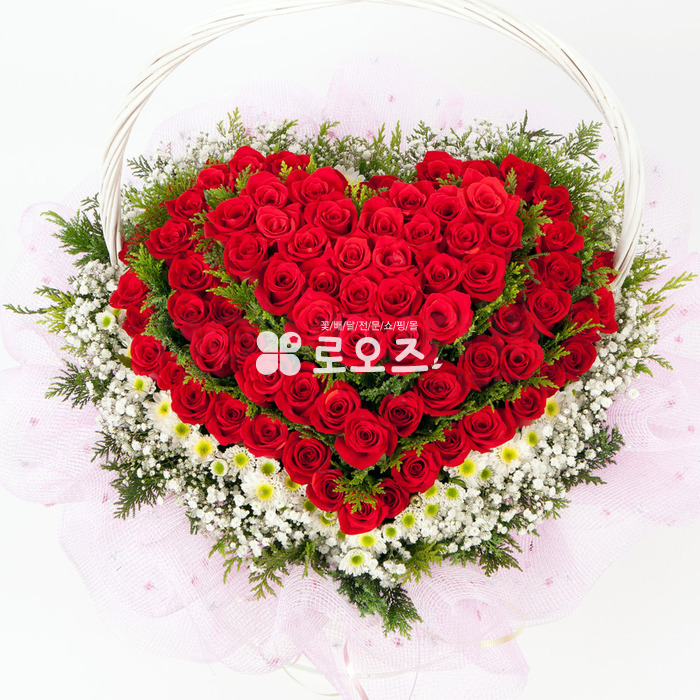상세이미지