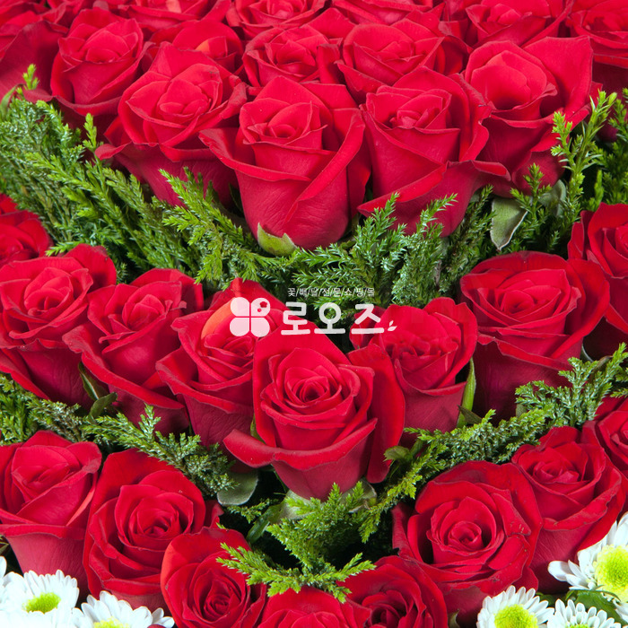 상세이미지