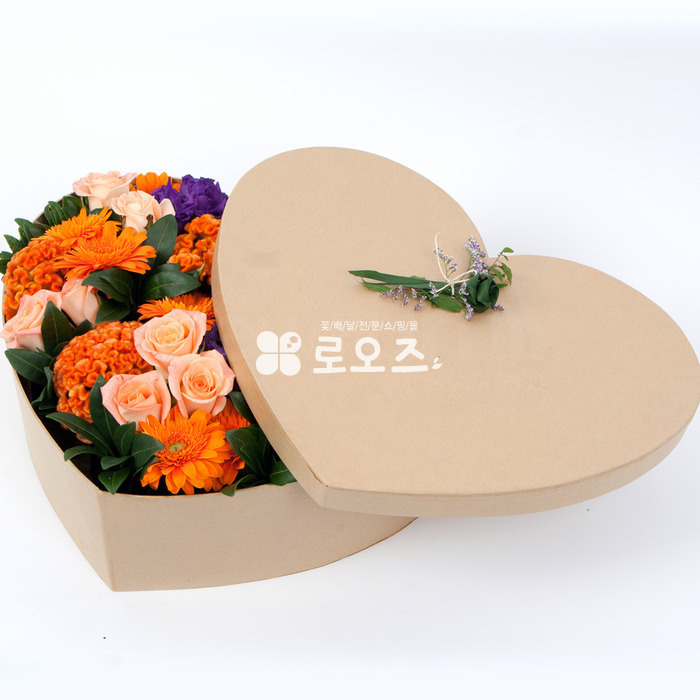상세이미지