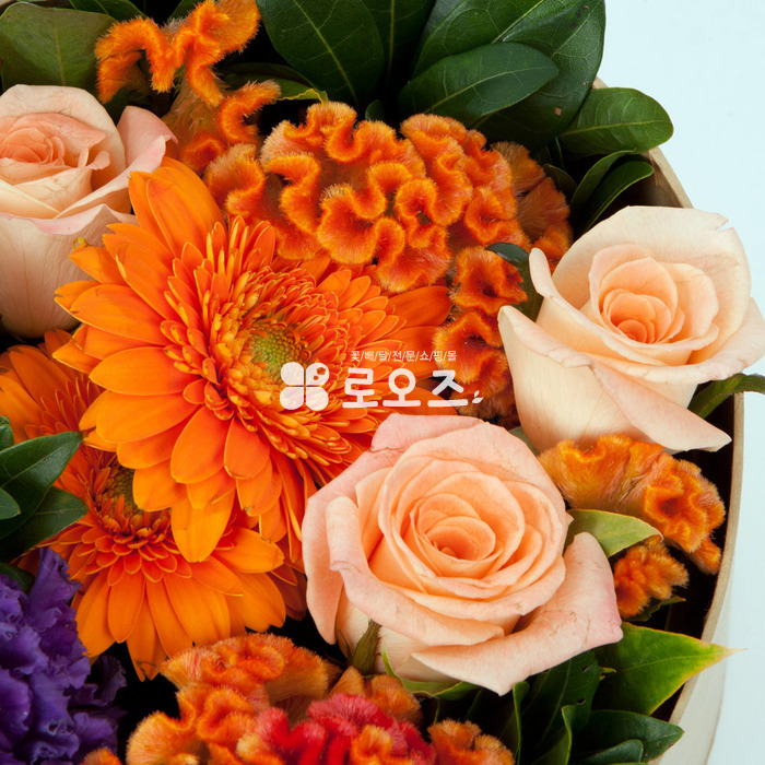 상세이미지
