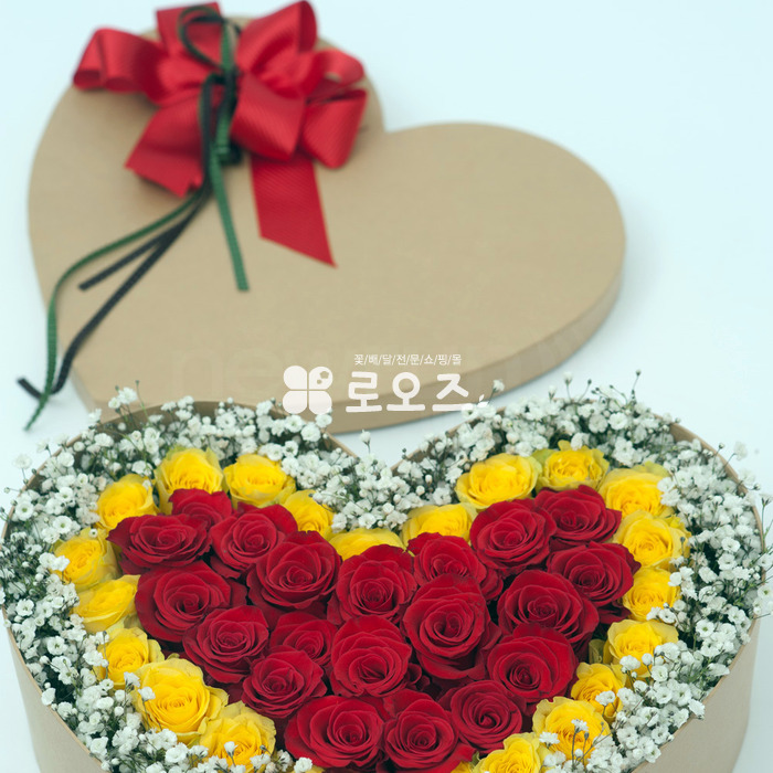 상세이미지