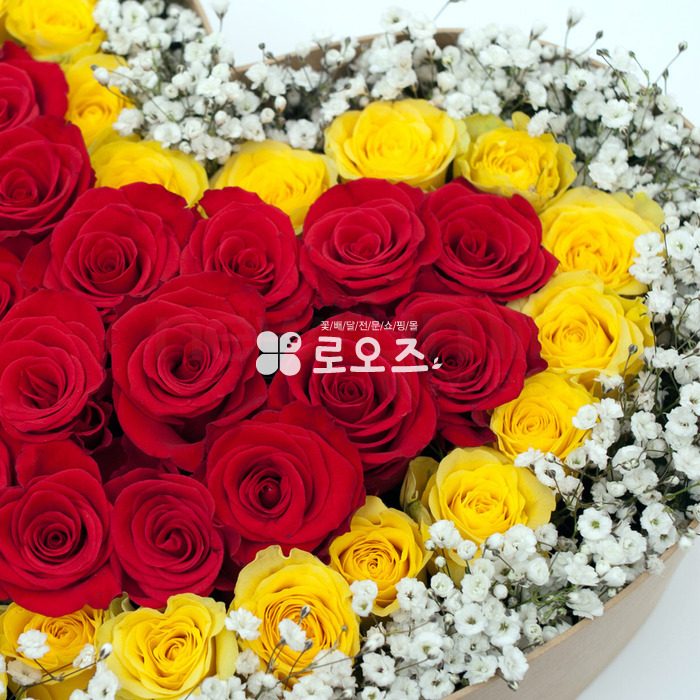 상세이미지