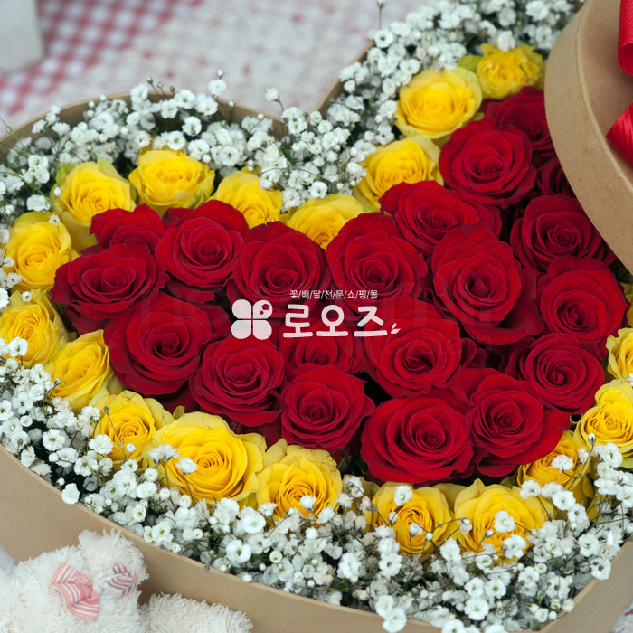상세이미지