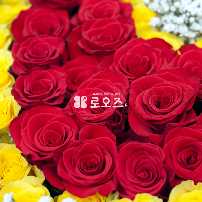 상세이미지
