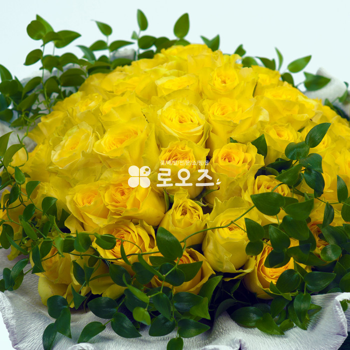 상세이미지