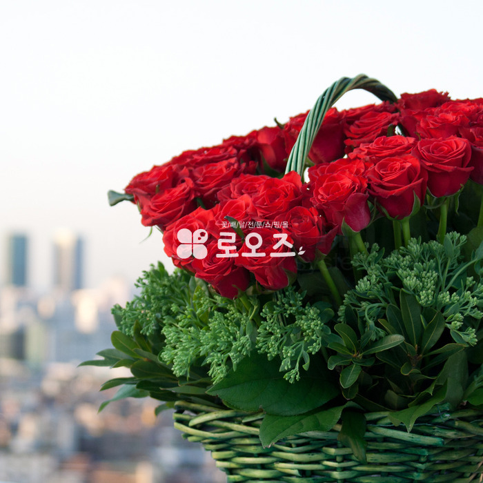 상세이미지