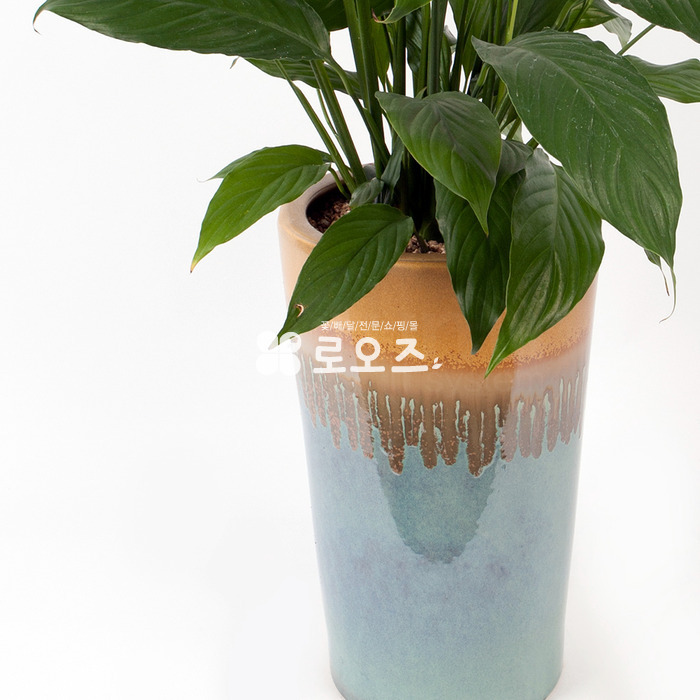 상세이미지