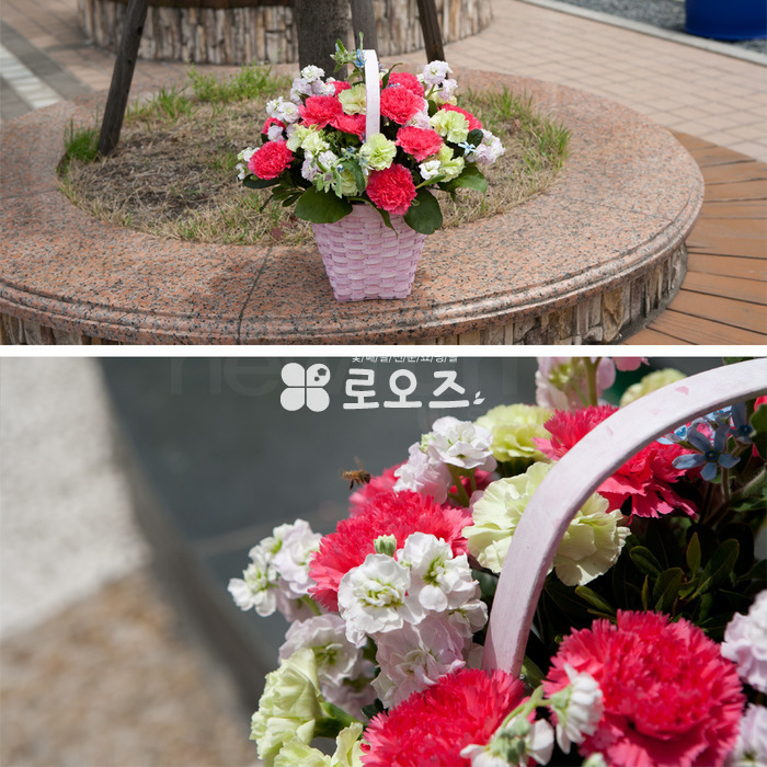 상세이미지